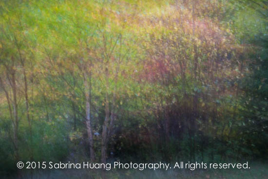 20151007_FallColor-585