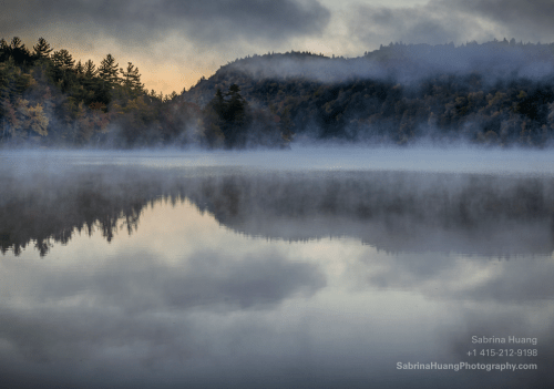 Screen Shot 2015-11-14 at 11.41.53 AM