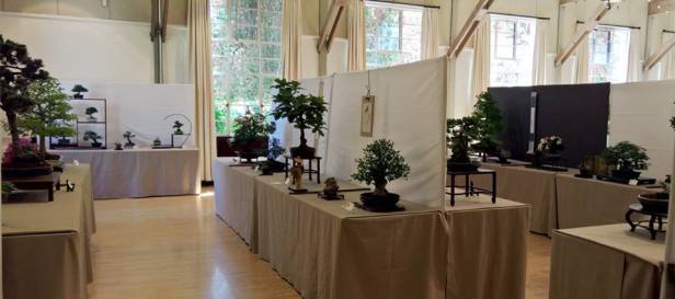 13087873_10154288987472223_2567353921275505358_n