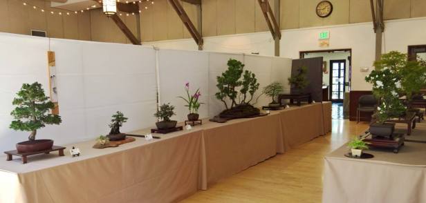 13131226_10154288987572223_8289228254360595112_o