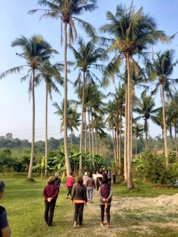 Processed with PICSPLAY